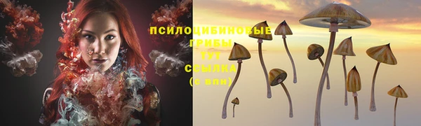 каннабис Алексин