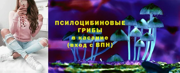 дмт Арсеньев