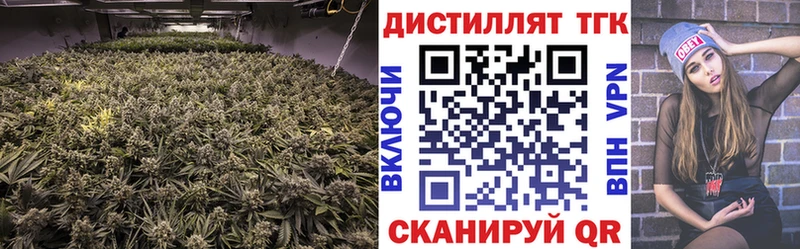 ТГК Wax  кракен tor  Гвардейск 
